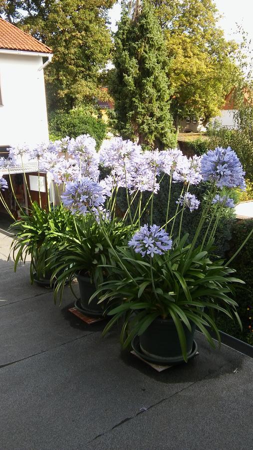 Ferienwohnung Helmis บาด ฟรังเคนเฮาเซน ภายนอก รูปภาพ